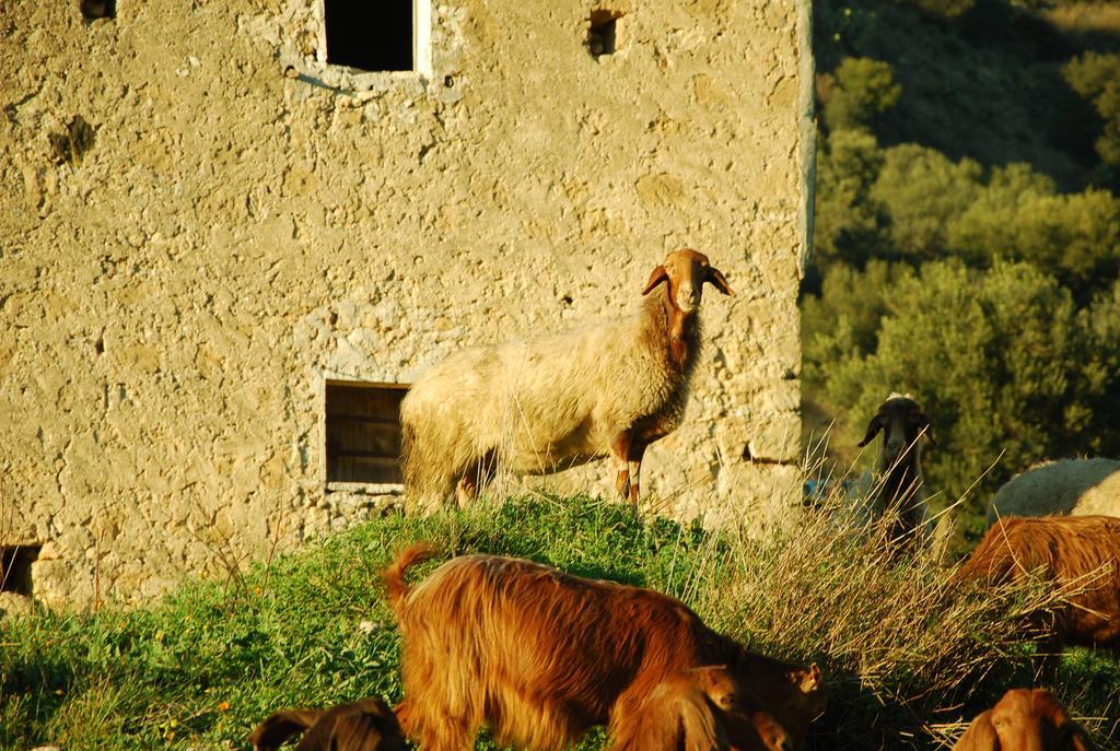 Experience Il Paesino Hotel Licodia Eubea Bagian luar foto